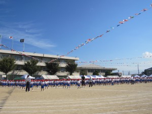 IMG_1314