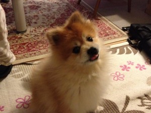 IMG_0501