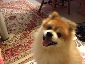 IMG_0502